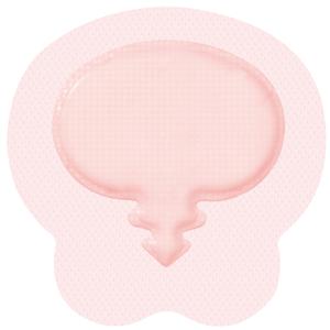 Allevyn Gentle Foam Border Sacrum, 8.5" x 9"