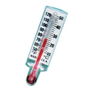 Disposable Thermometer.