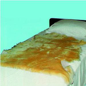 Sofsheep Sheepskin Pad, 3 ft. x 2-1/2 ft., Beige